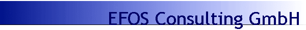 EFOS Consulting GmbH